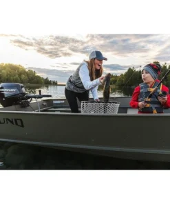 Alternative view of Mercury 4HP Tiller FourStroke Outboard Motors